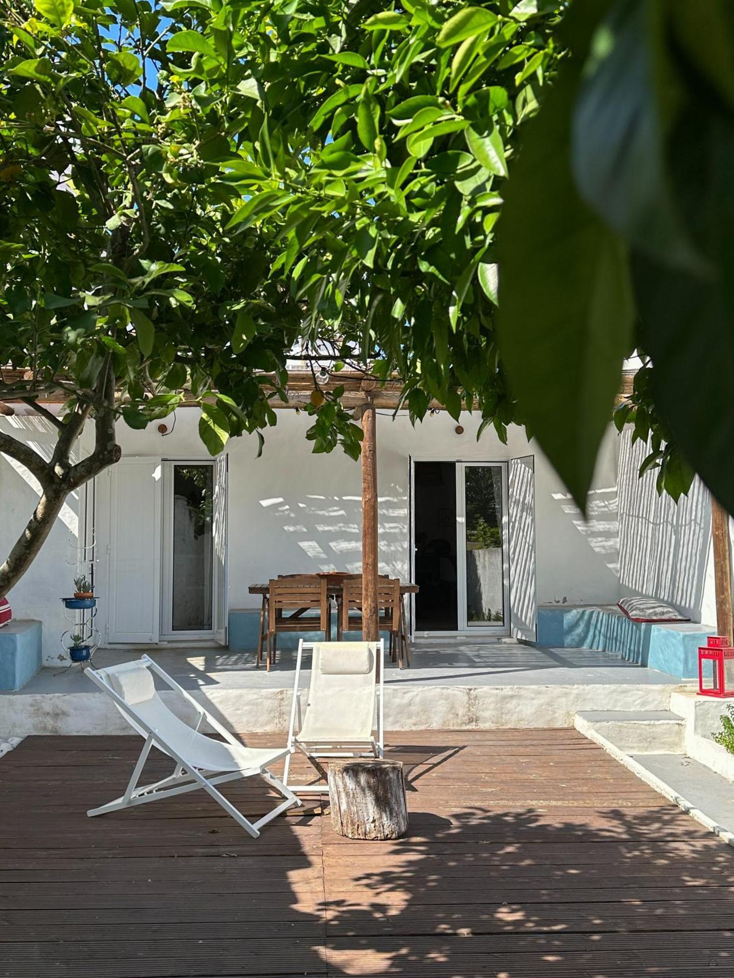 Papoila Grândola Exterior foto